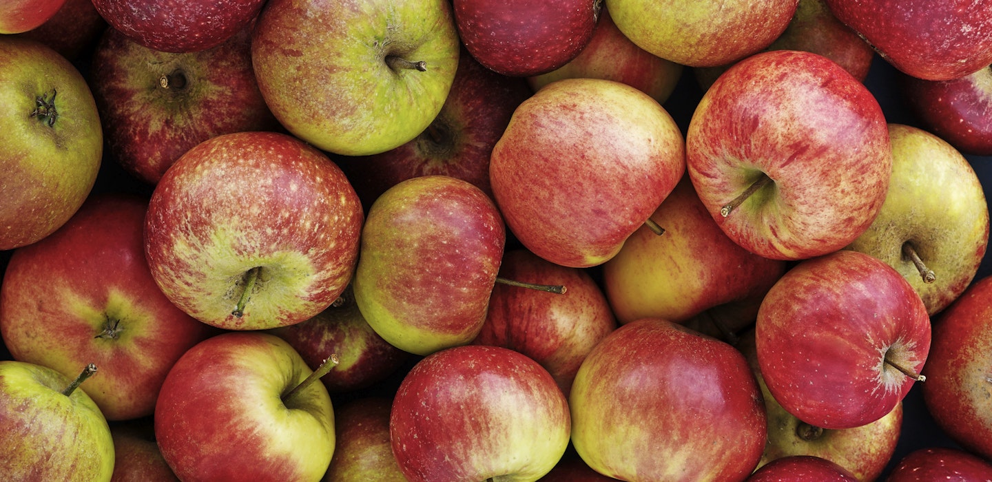 Æbler - opbevaring, tips og opskrifter med æbler - Sæson