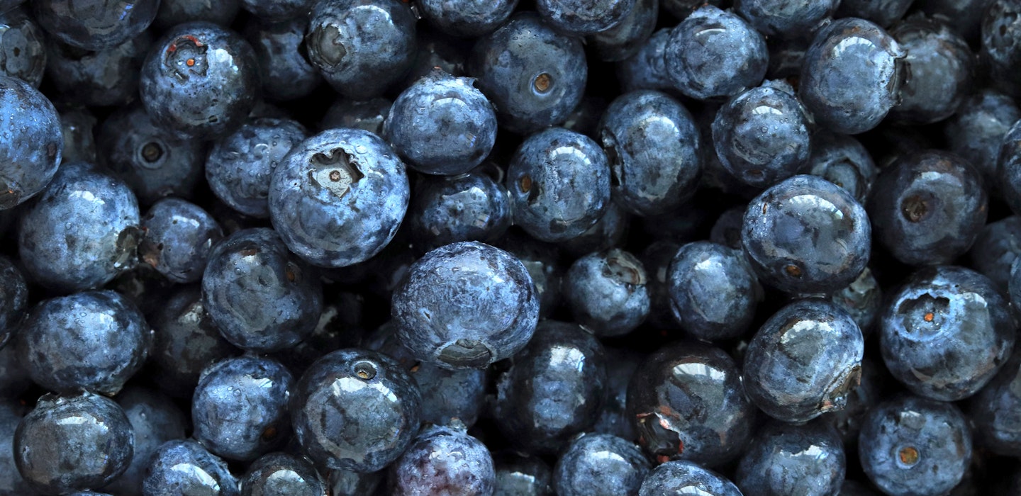 Blåbær - Opskrifter, tips og viden om blåbær - Sæson