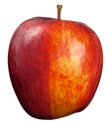 Gala must æble