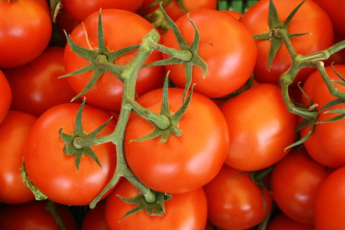 Tomater  - opskrifter med tomater, tips og viden om tomater