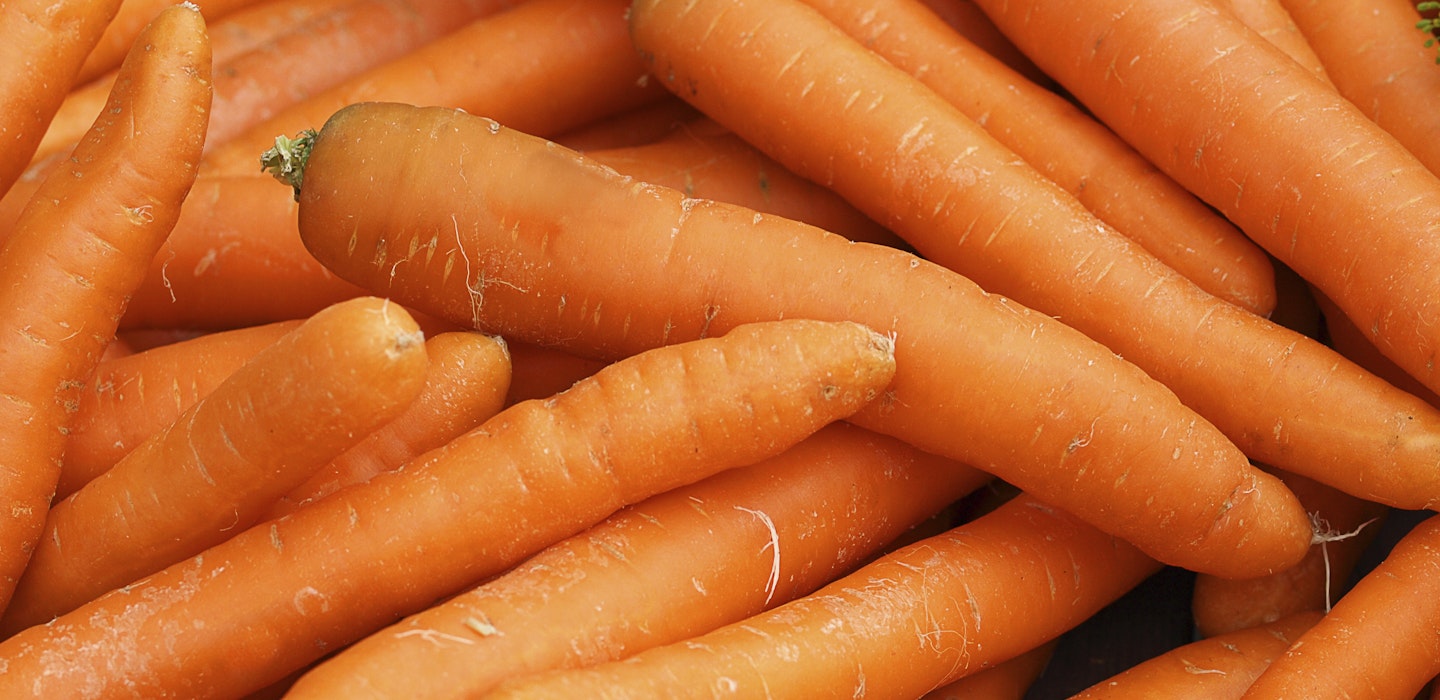Gulerødder - opskrifter med gulerødder og viden - Sæson