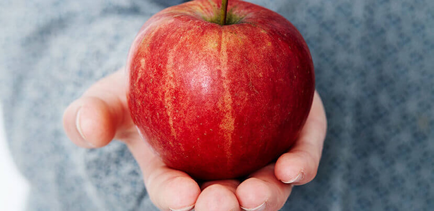 Æblesorter - Sæsons guide - opskrifter og viden om æbler