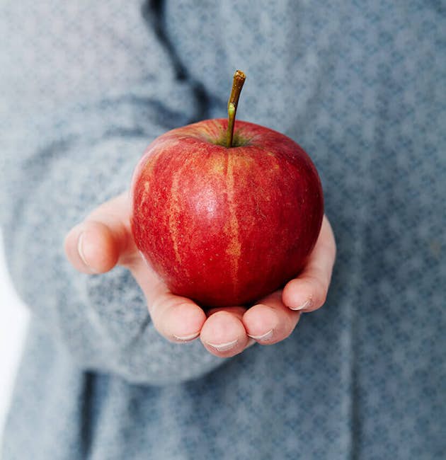 Æblesorter - Sæsons guide - opskrifter og viden om æbler