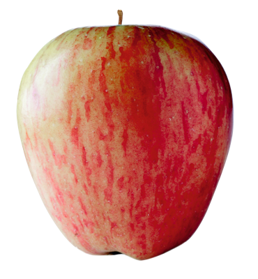 Guldborg æble