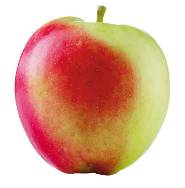 Sunrise æble