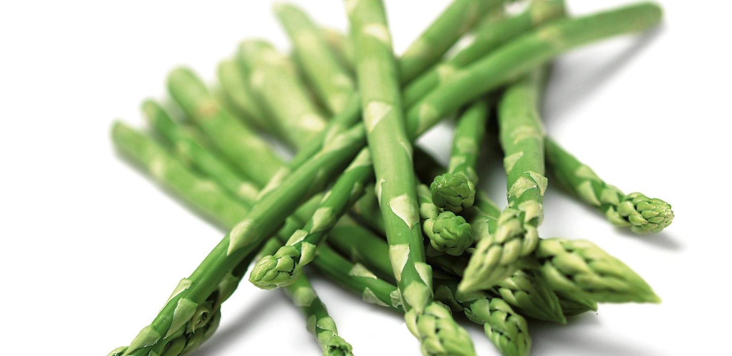 Asparges - Viden om grønne asparges - Sæson