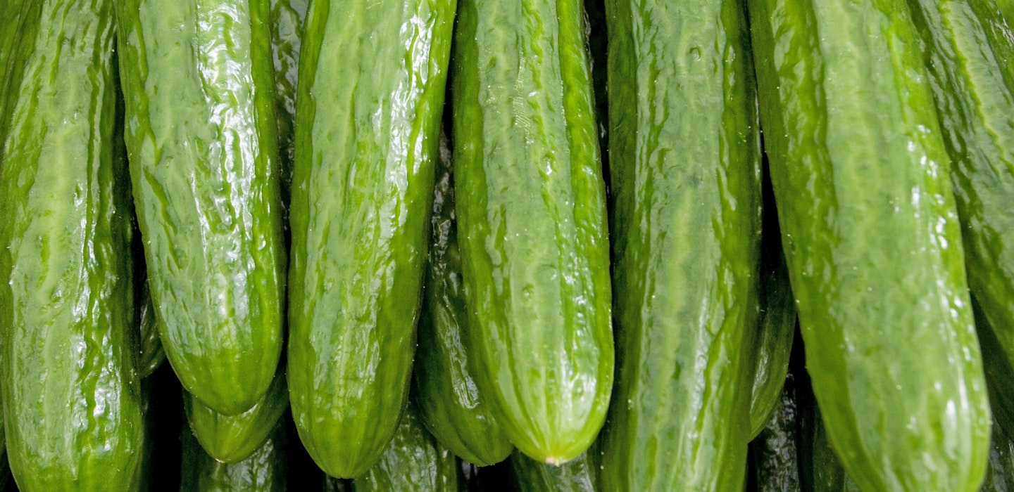 Agurker - opskrifter med agurk - tips og viden om agurk