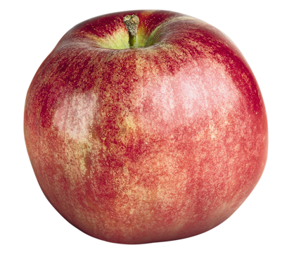Rød gråsten æble