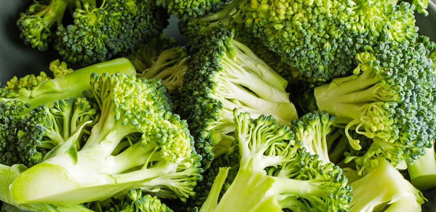 Læs alt om broccoli – find opskrifter og tips til tilberedning