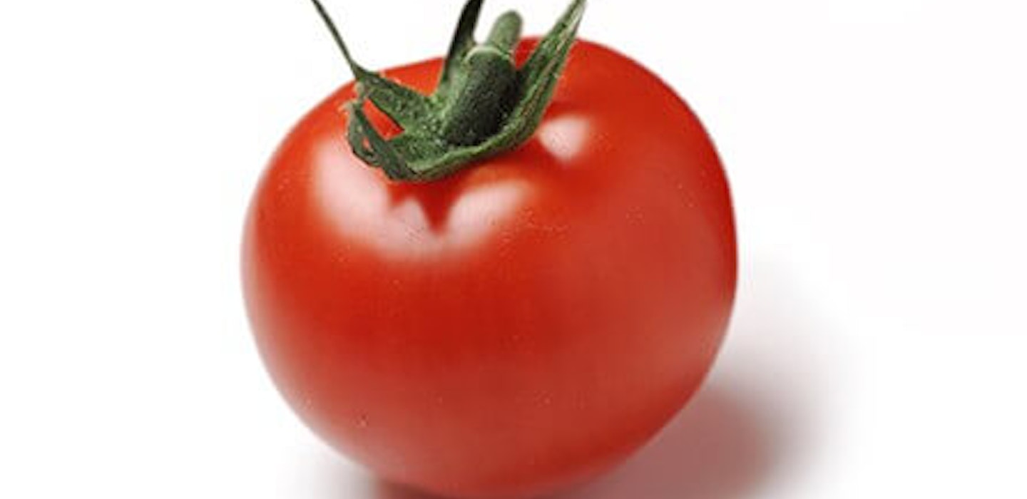 Tomat til en lækker hjemmelavet tomatsuppe - Sæson